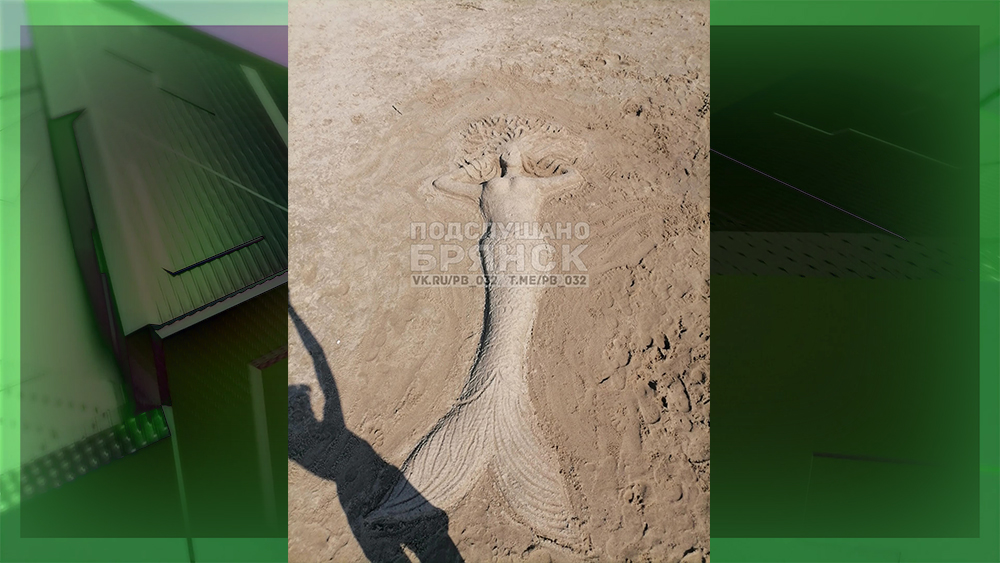 На центральном пляже в Брянске сделали русалку из песка