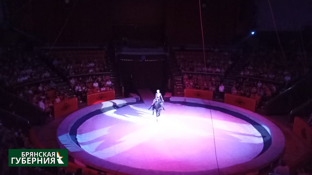 В Брянске состоялся премьерный показ шоу «Цирк Легенда»