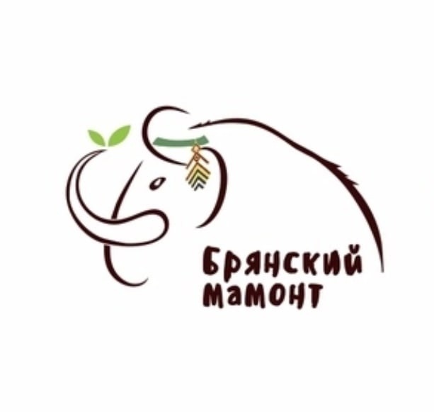 Брянский мамонт: уникальный фестиваль искусства и живой музыки откроется 29 июля