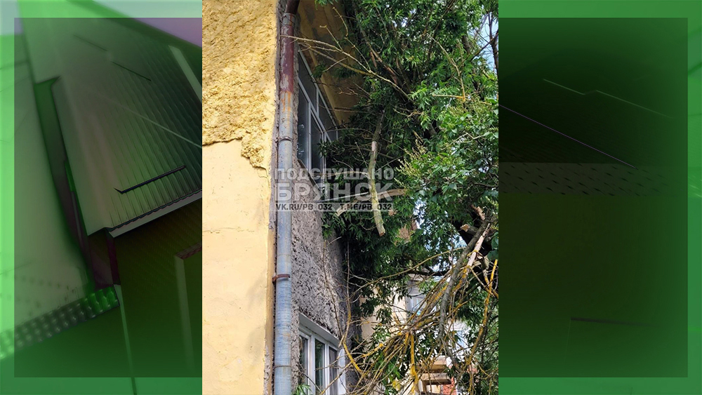 Из-за сильного ветра в Брянске на проспекте Московском дерево упало на дом