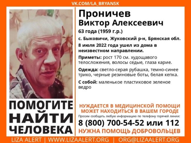 В Брянской области пропал 63-летний Виктор Проничев
