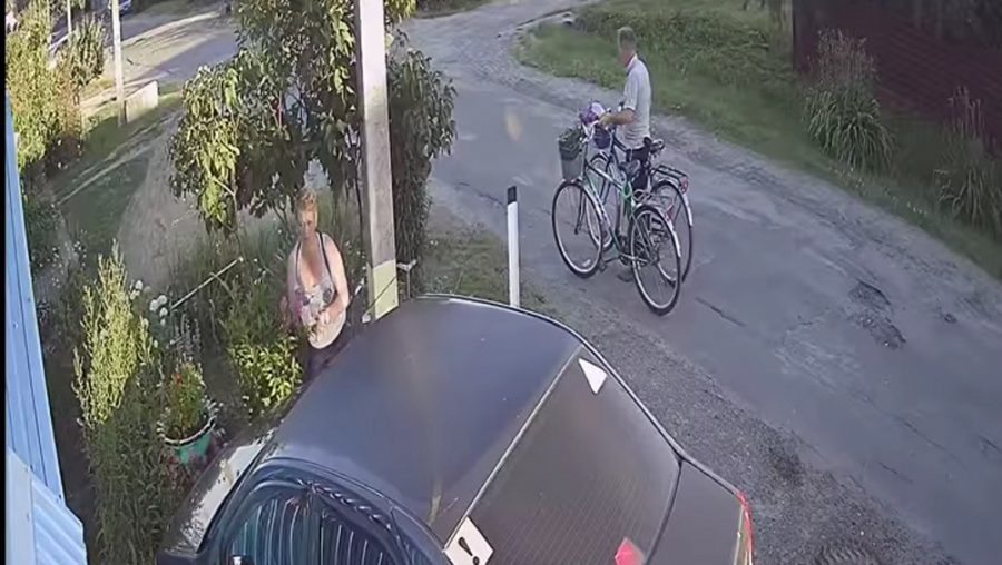 В Фокинском районе Брянска мужчина и женщина на велосипедах украли цветы