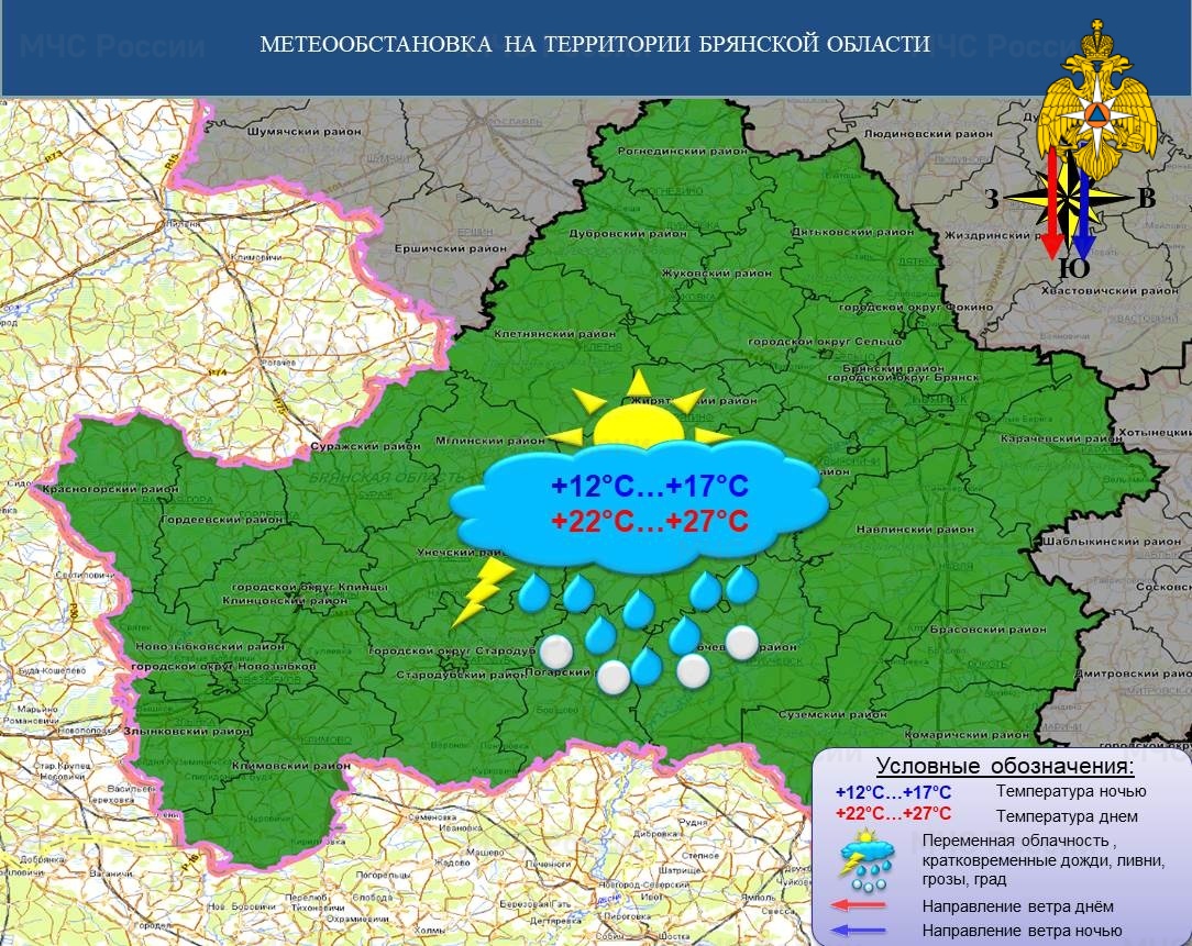 Синоптики сообщили о дождях и грозах в Брянской области 10 июля