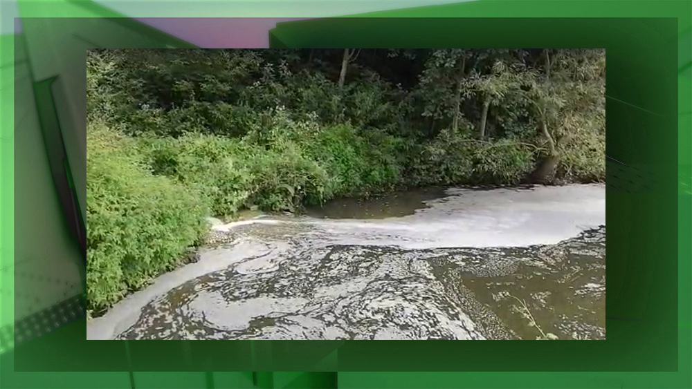 Брянские эксперты ОНФ возмущены ситуацией с загрязнением реки Бабинец