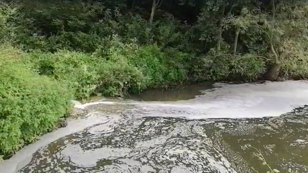 Стародубцы призывают прокуратуру разобраться с загрязнением реки Бабинец
