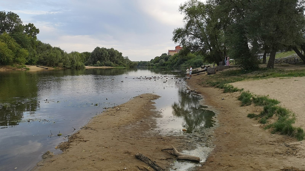 В городе Брянске обмелела река Десна