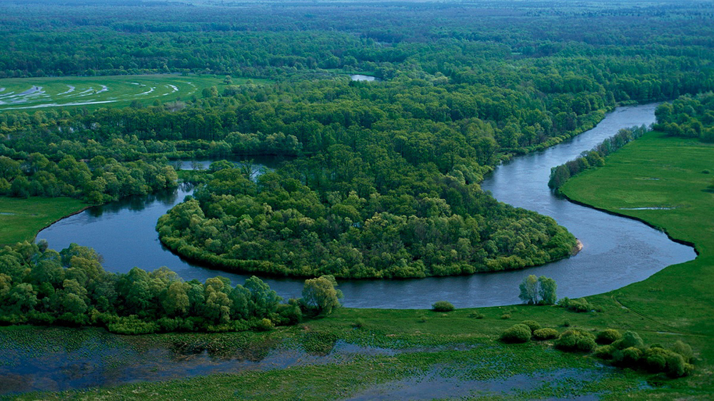 В среднем течении Десны в Брянской области практически не осталось места для дикой природы