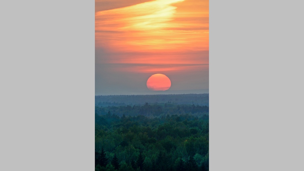 Николай Шпиленок запечатлел на фото закатное солнце над «Брянским лесом»