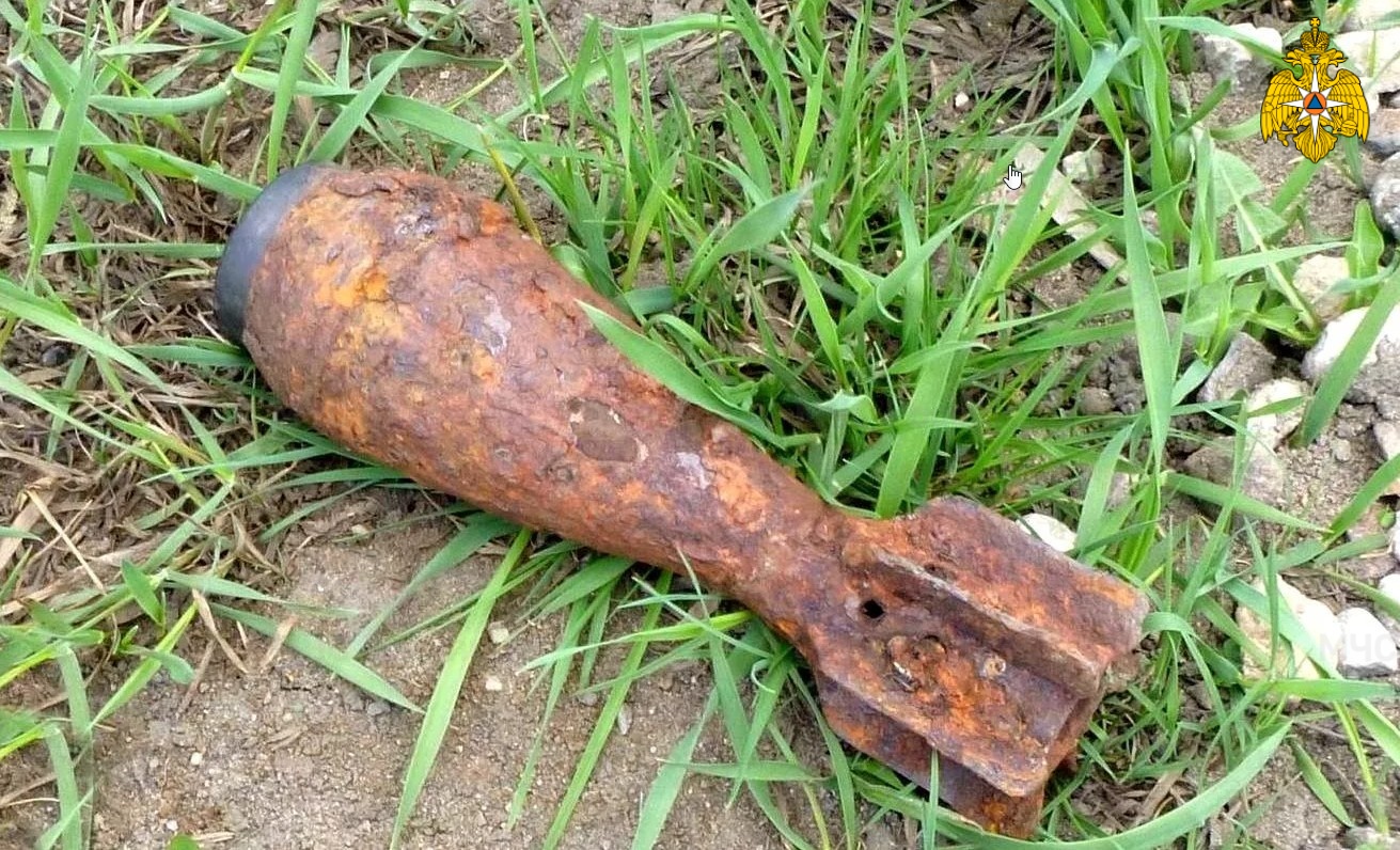 В лесу в Злынковском районе саперы обезвредили минометные мины