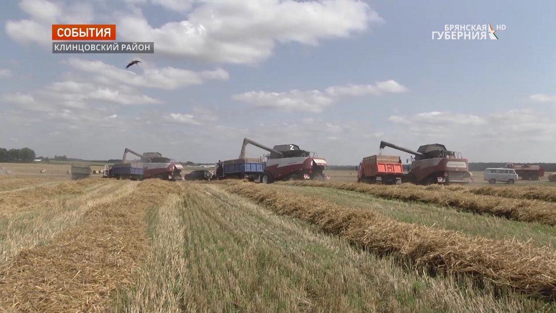 Уборка зерновых идёт ударными темпами в Клинцовском районе