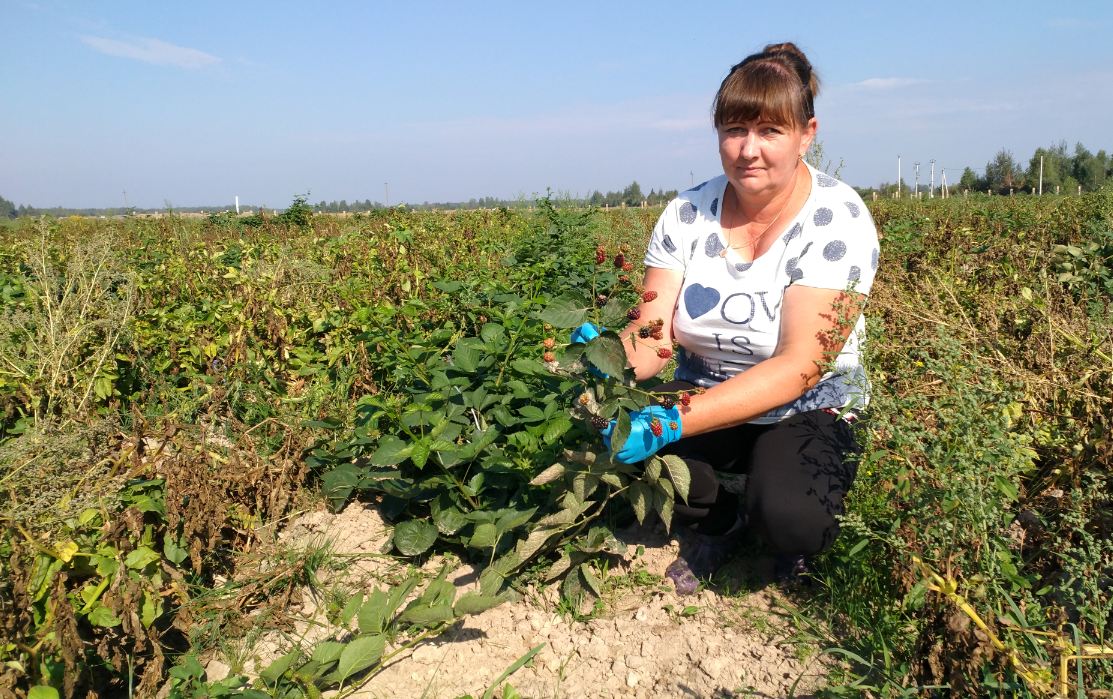 Светлана Щаева из Унечского района получила грант «Агростартап» в 2,8 млн рублей