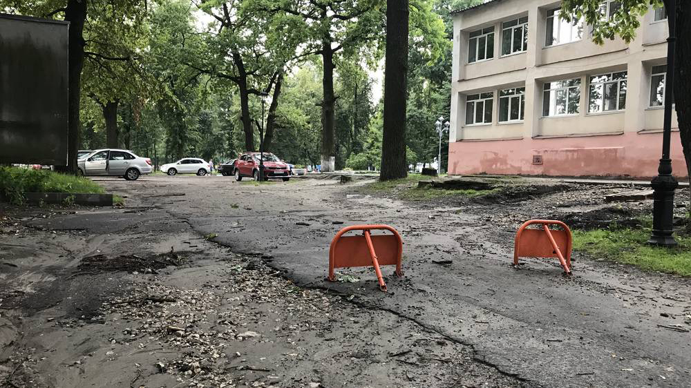 После жалоб горожан въезд в парк Пушкина в Брянске перекрыли барьерами
