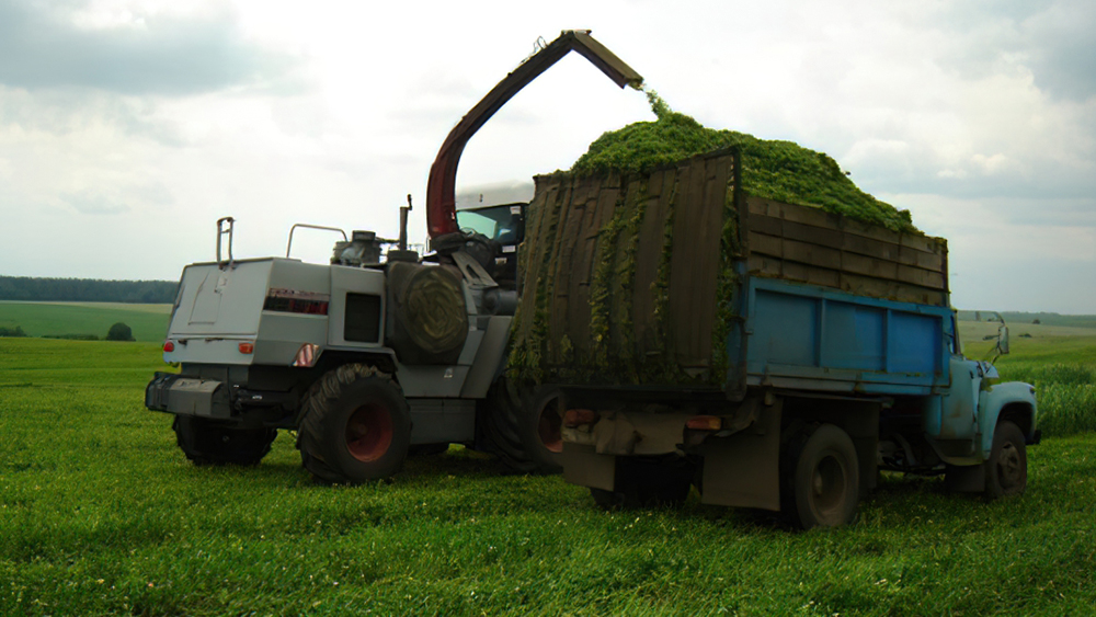 В Жуковском районе продолжается заготовка кормов