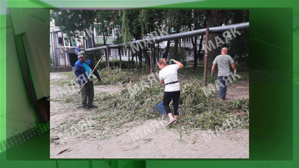 В Новозыбкове коммунальные службы вывезли с улицы 307 Дивизии тонны сухих и обломанных веток