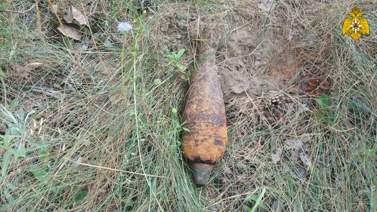 Возле «Партизанской поляны» в Брянске нашли мину