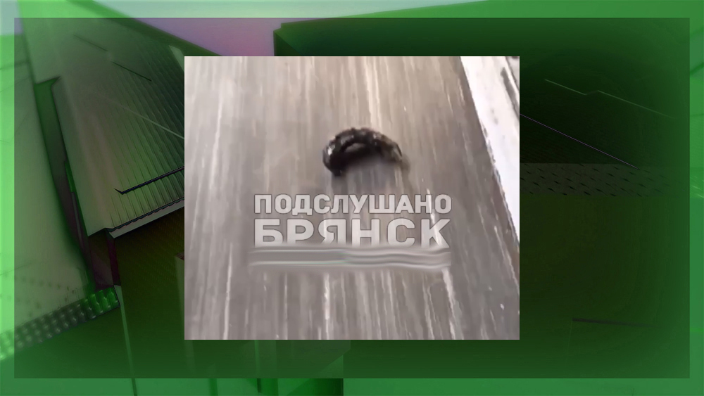 Осколки сбитой ракеты «Точка-У» попали в поезд Климово - Москва