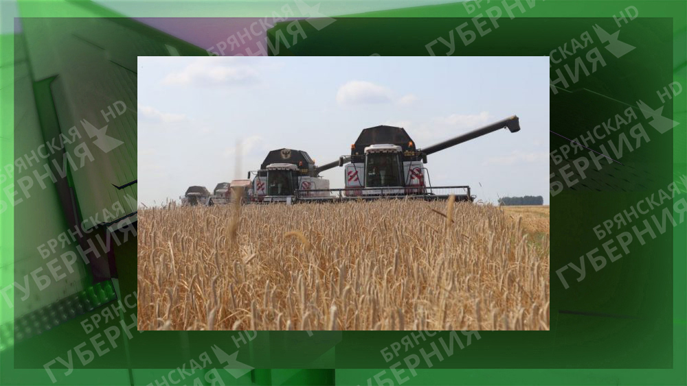 В колхозе «Прогресс» Клинцовского района убрали озимые зерновые культуры