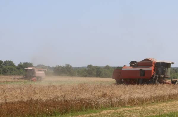 30 сельхозпредприятий Стародубского округа завершили уборку зерновых культур