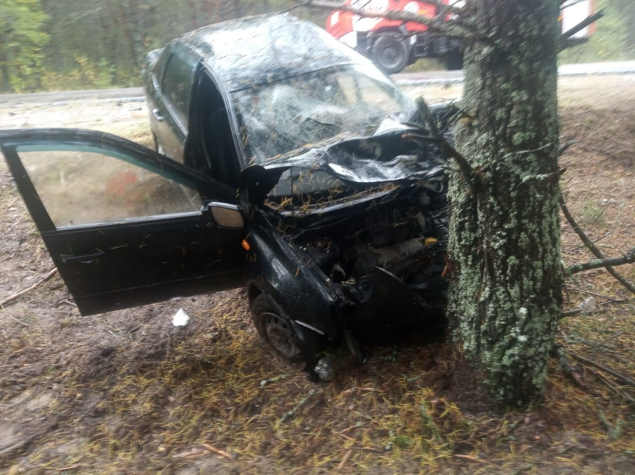 На брянской трассе 37-летний водитель врезался в дерево и погиб