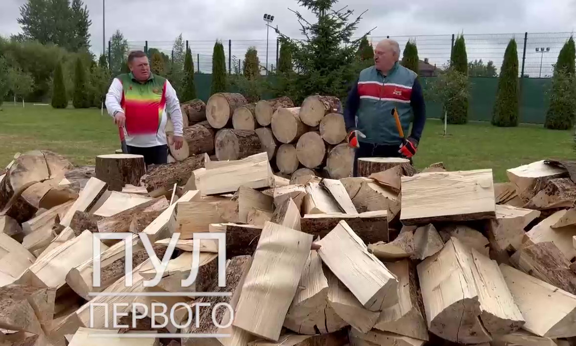 «Не дадим, Семеныч, Европе замерзнуть!» - президент Беларуси наколол для нее дров