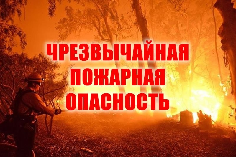 МЧС предупредило о чрезвычайной пожарной опасности на западе Брянской области