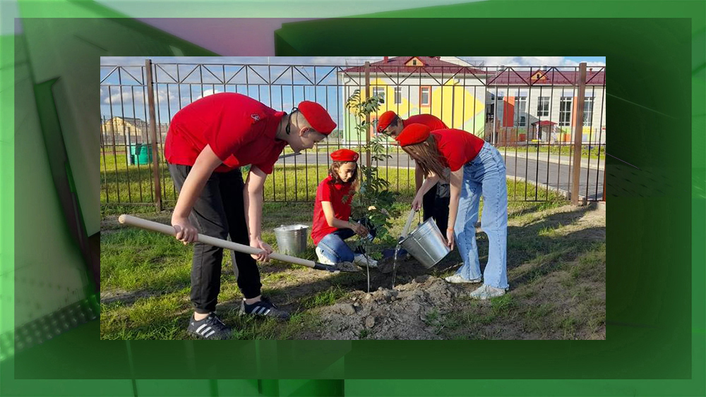 В Журиничах появилась аллея партизанской славы