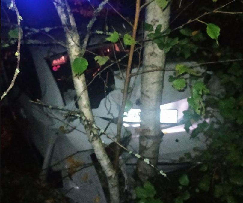 Под Навлей автоледи врезалась в дерево: ранен 34-летний пассажир