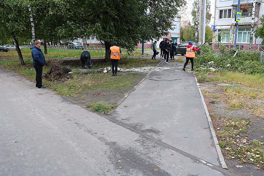 В Брянске от штормового ветра больше всех пострадала Бежица