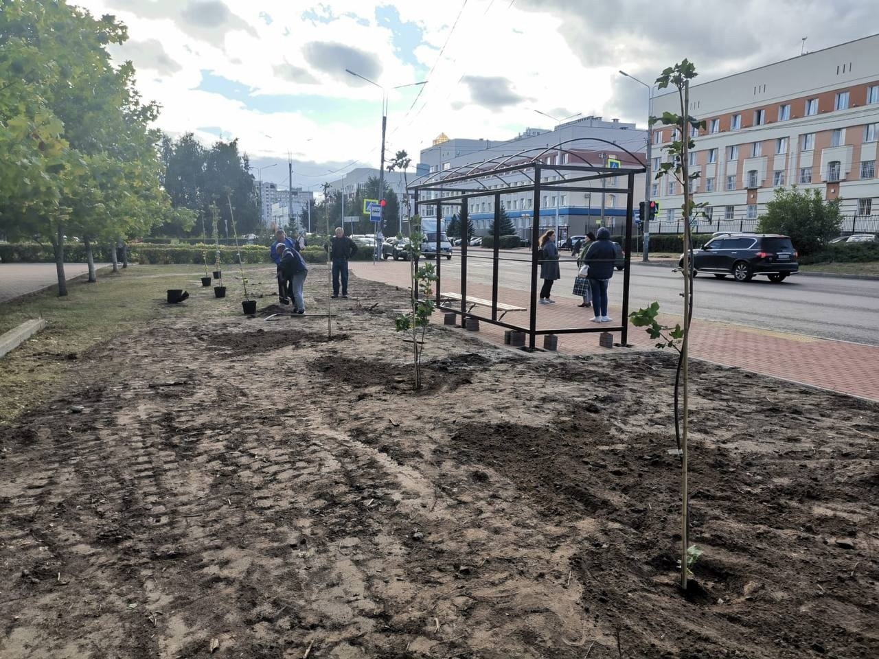 В Брянске высадят 230 деревьев