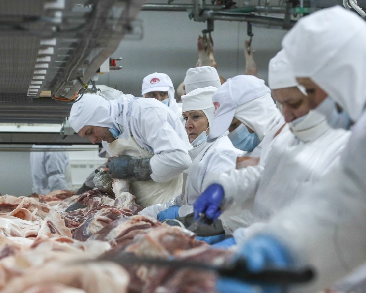Брянские производители экспортировали 22 тысячи тонн животноводческой продукции