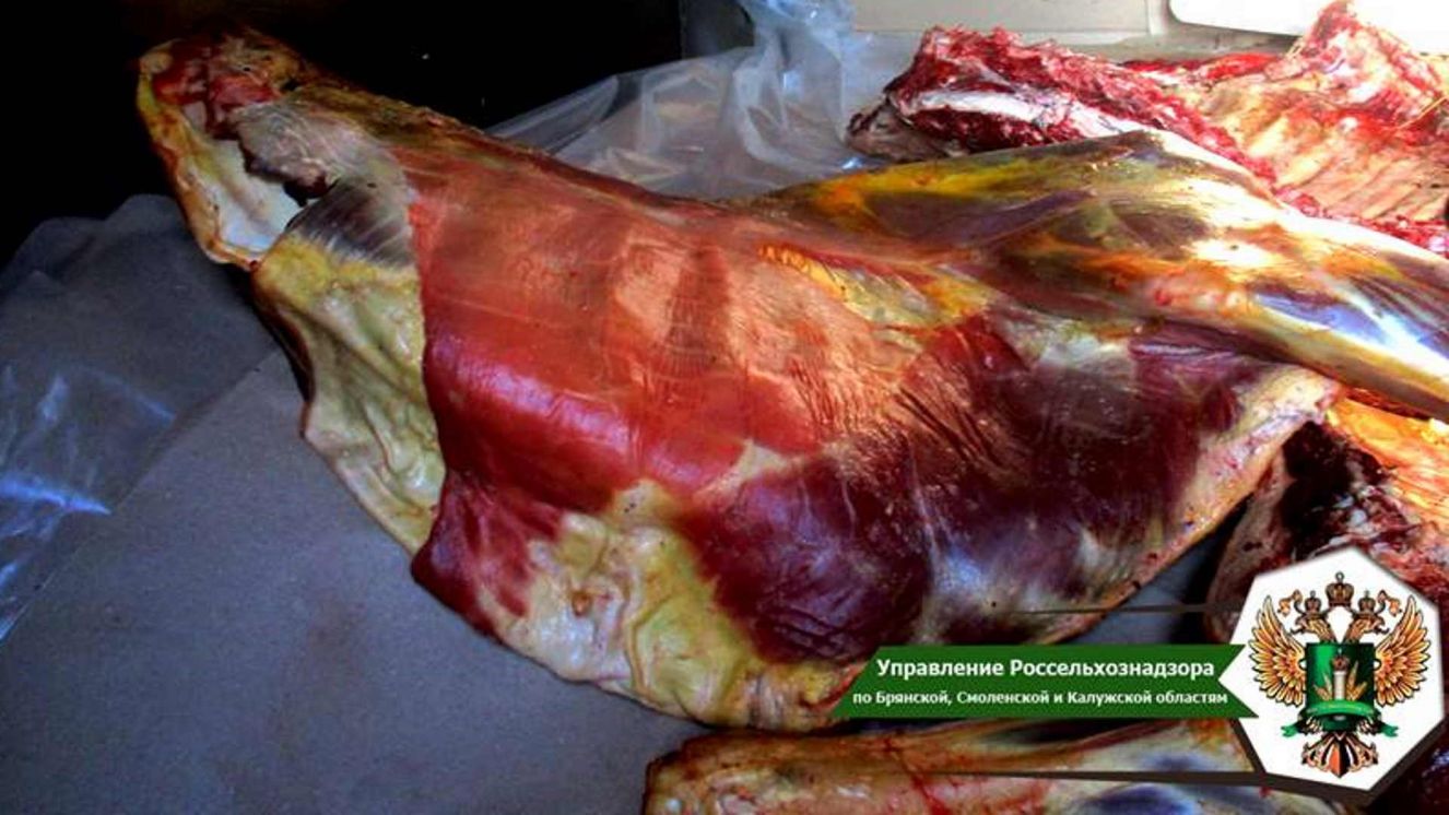 В Брянской области забраковали 200 килограммов говядины