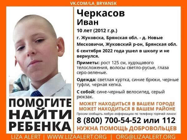 В Брянской области развернулись поиски 10-летнего Ивана Черкасова