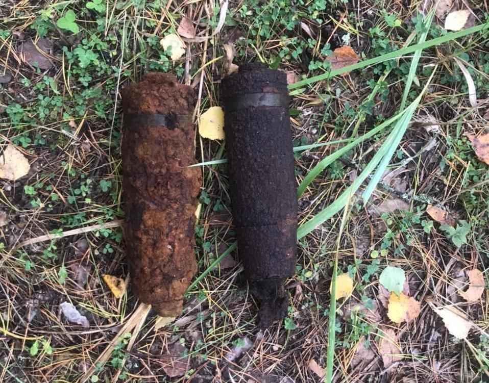 Под Брянском возле лесхоза обнаружили артиллерийские снаряды