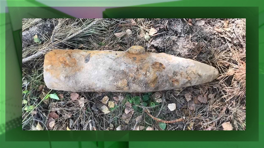 Под Карачевом местные жители обнаружили 50-килограммовую бомбу