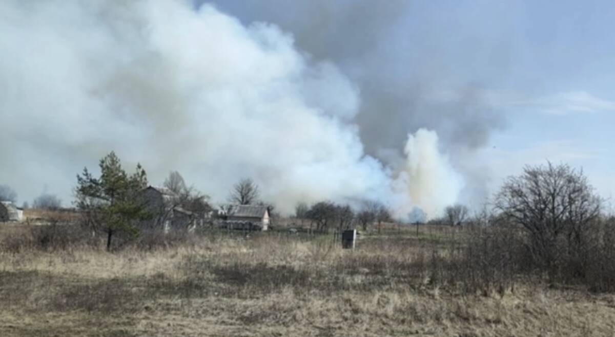 На объездной дороге Брянска из-за поджога сухой травы разгорелся сильный пожар