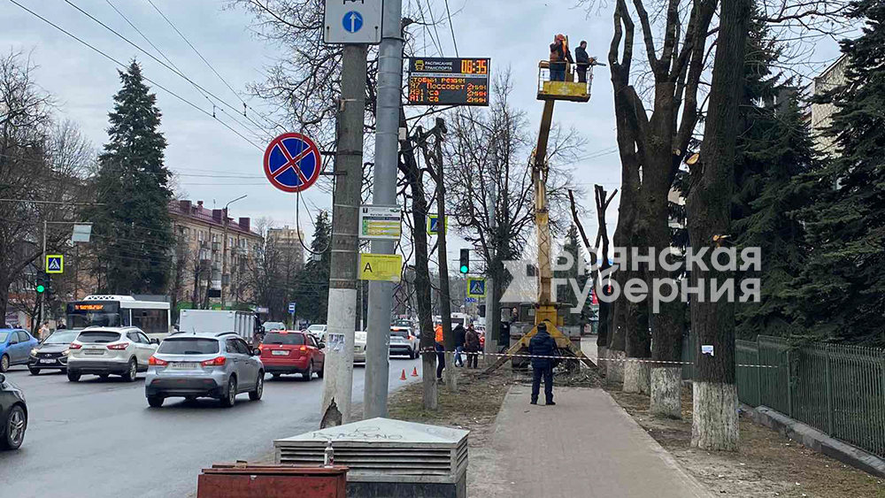 В Брянске на улице Красноармейской кронируют деревья