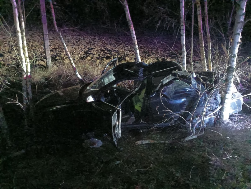 На брянской трассе под Красной Горой машина врезалась в дерево: водитель погиб