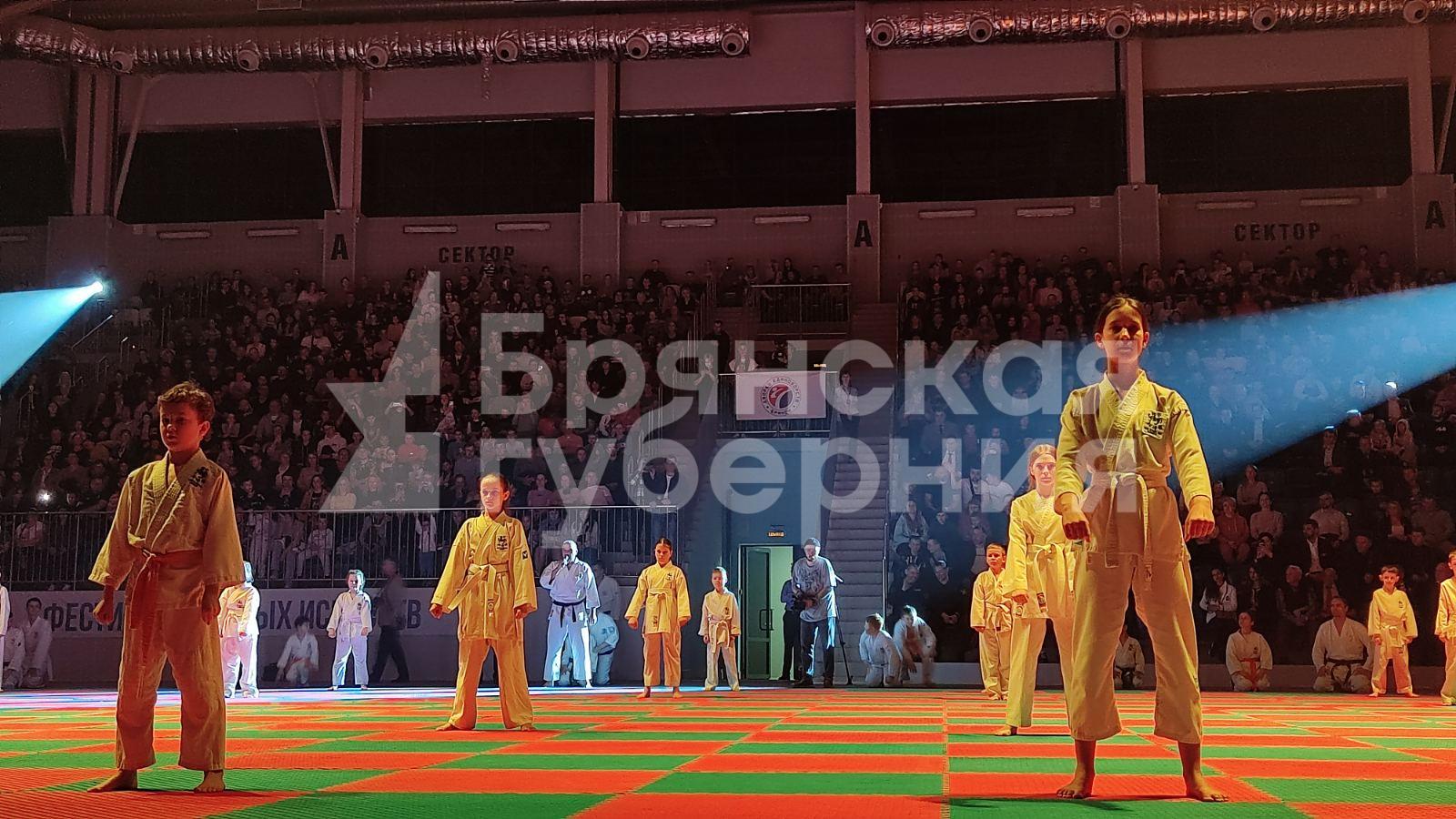 Под крышей Дворца единоборств в Брянске собрались представители 16 видов боевых искусств