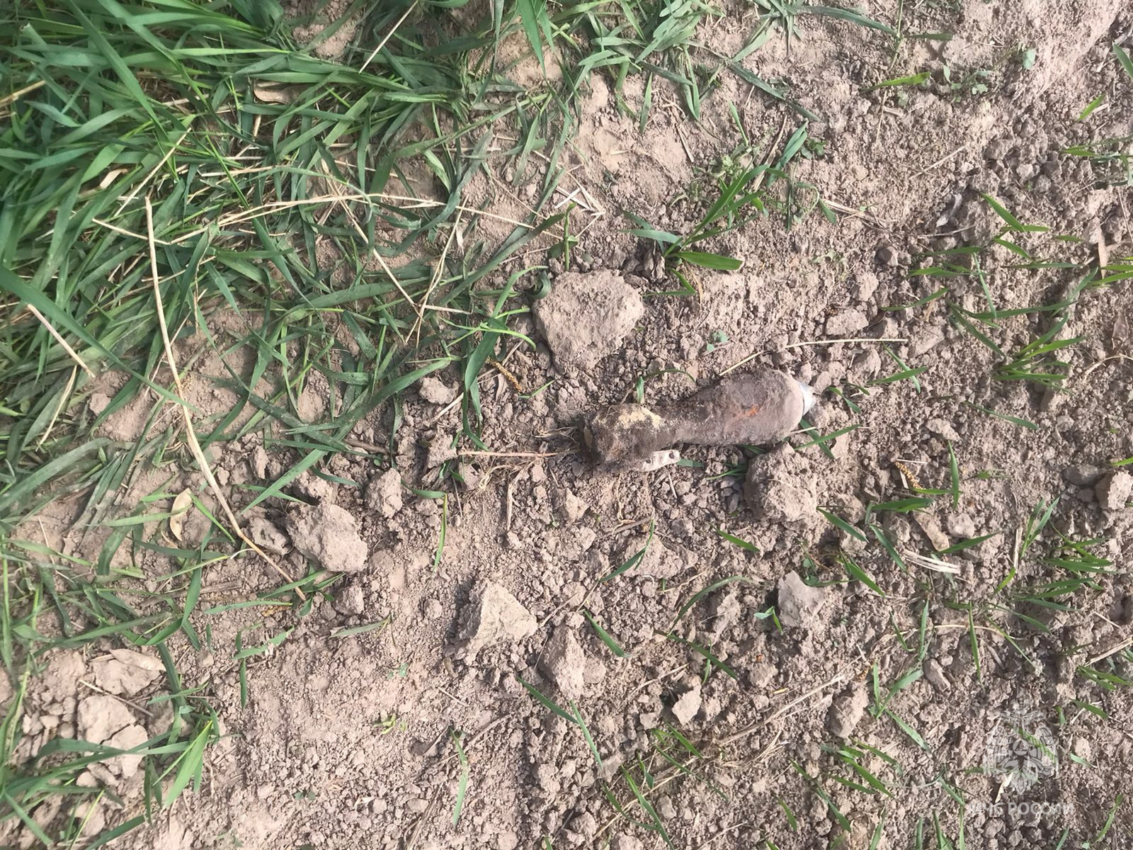 Еще одну неразорвавшуюся мину нашли в Севском районе Брянщины