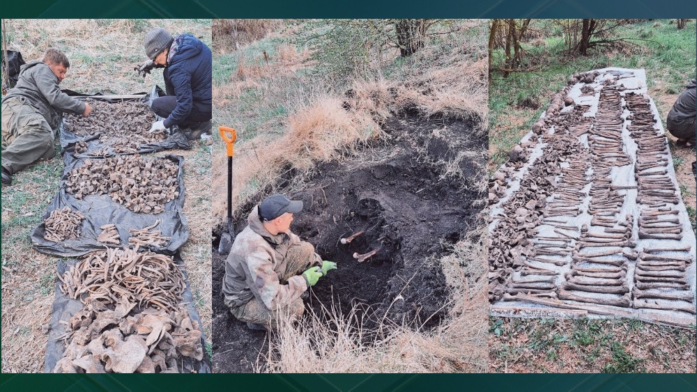 В Брянской области обнаружили многочисленные человеческие останки