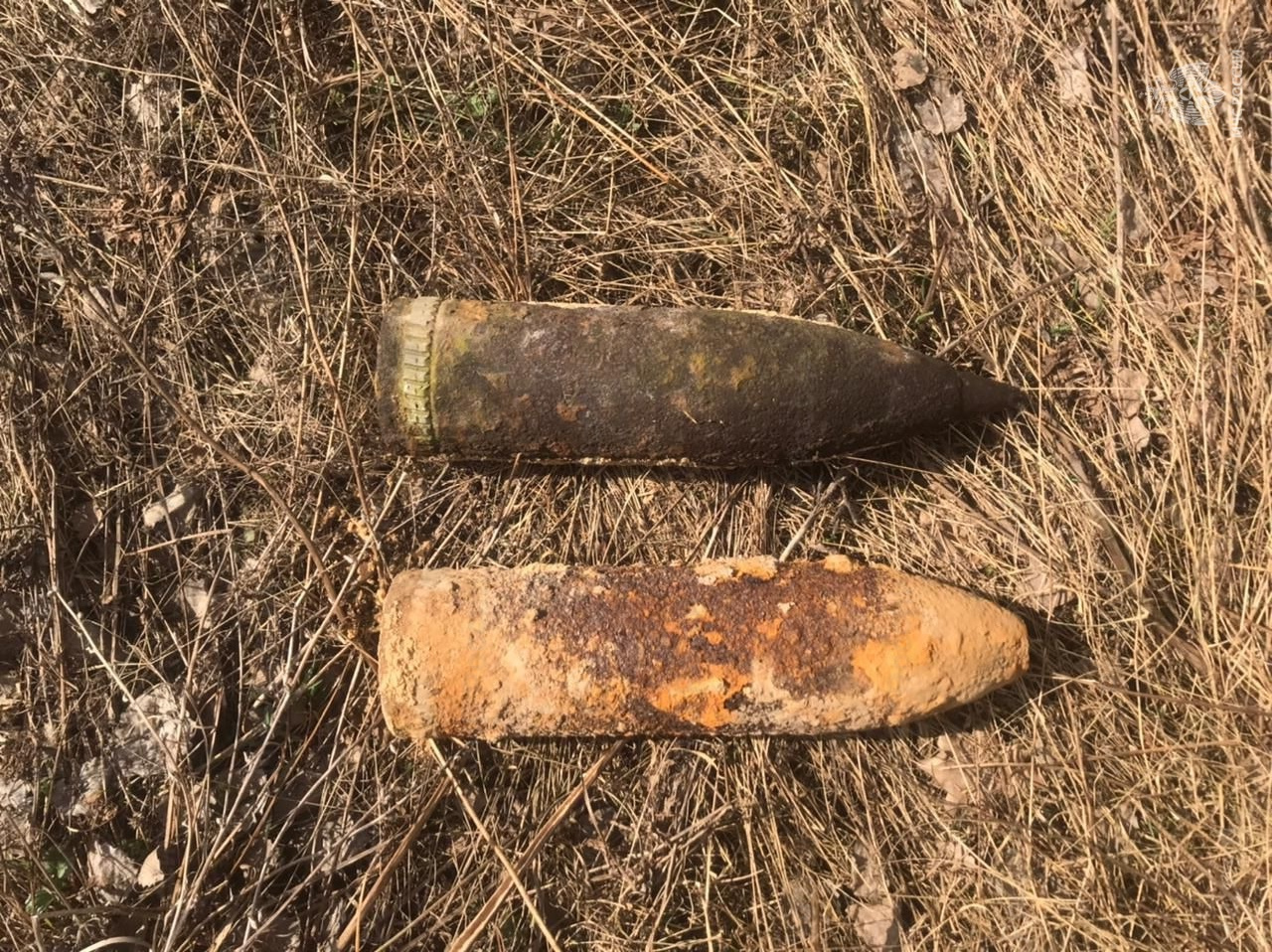 В Навлинском районе саперы обезвредили два артиллерийских снаряда