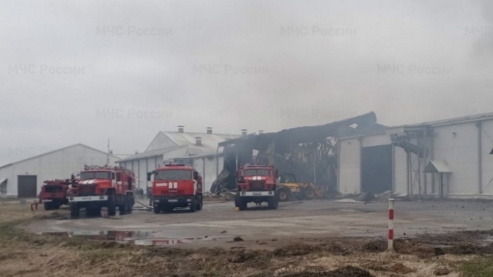 В Брянской области при пожаре на птицефабрике пострадал человек