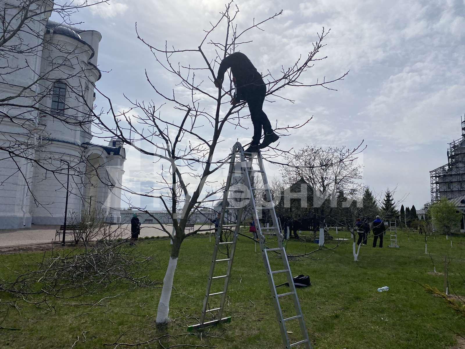 Специалисты приводят в порядок сад Свенского монастыря под Брянском