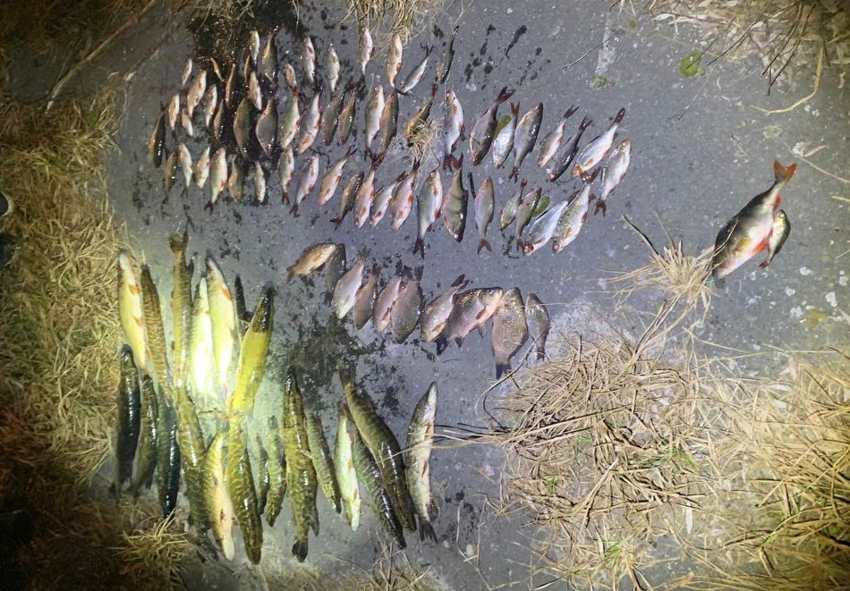 В Брянской области задержали двух браконьеров с большим уловом рыбы
