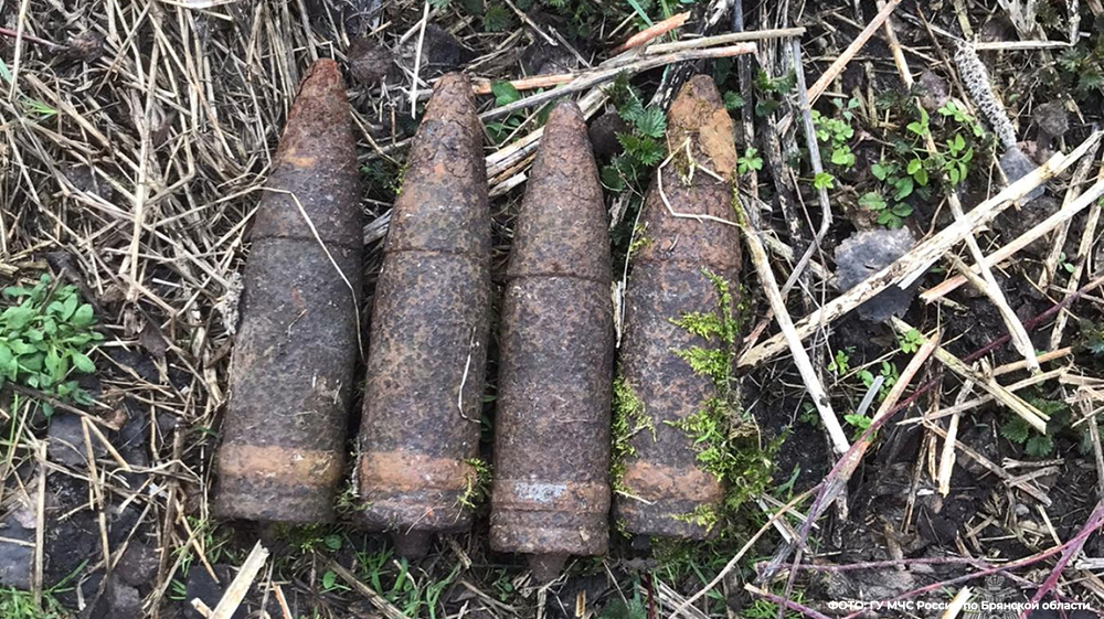 В Брянском районе нашли несколько артиллерийских снарядов времён войны