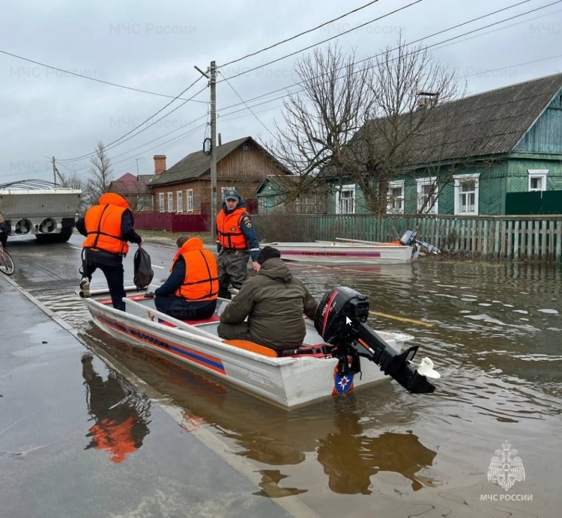 В Брянской области более 700 домов попали в зону подтопления