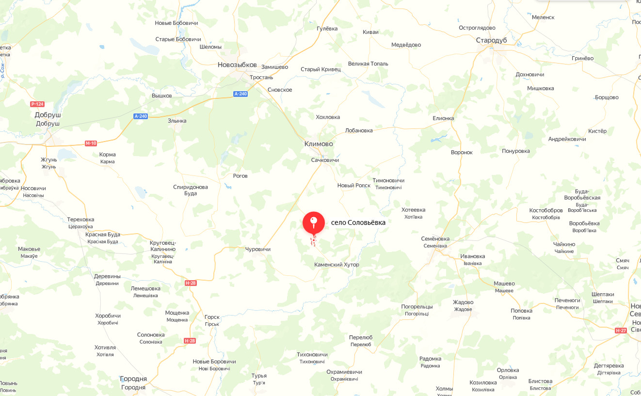 Александр Богомаз: украинские войска обстреляли брянское село Соловьевка