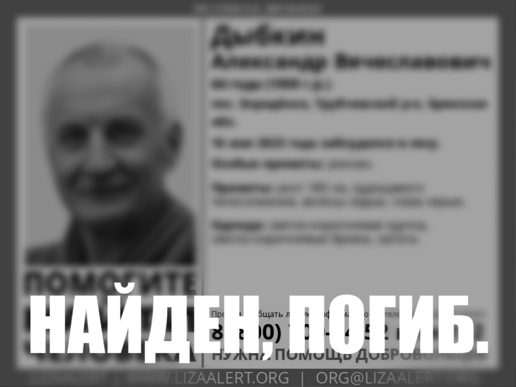 Пропавшего на Брянщине 64-летнего Александра Дыбкина нашли погибшим