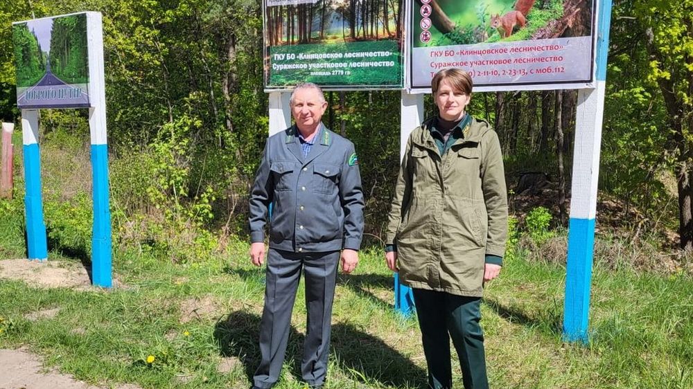 В Брянской области усилено патрулируют леса