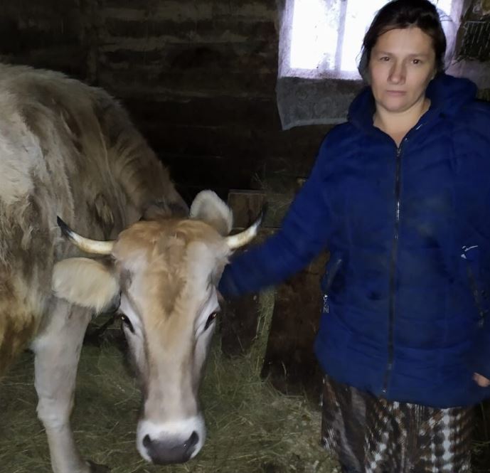 Многодетная мать из брянской деревни Телец купила корову по соцконтракту